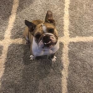 Meet your Posher, Denise